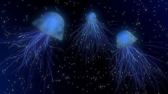 360浏览器