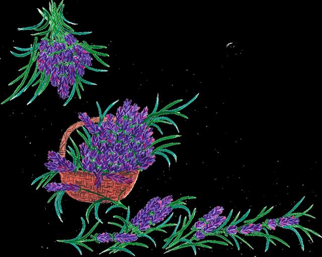 死神vs火影下载游戏