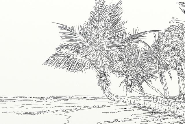 小明