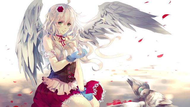 空战争锋内购破解版