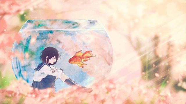 360浏览器