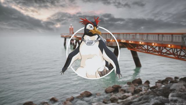 丽江小球迷雪山唱战歌